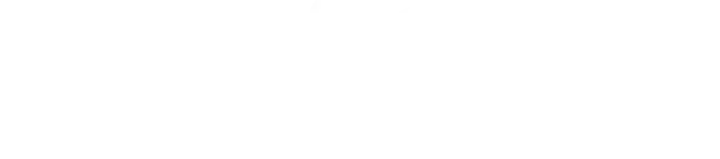FOX ONE
