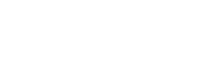 Vizio